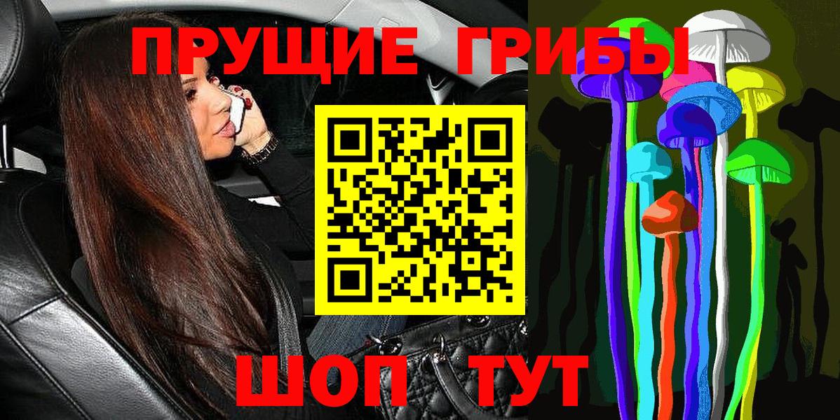 купить наркоту  Псилоцибиновые грибы GOLDEN TEACHER  Губаха  Вход с VPN  Псилоцибиновые грибы GOLDEN TEACHER 