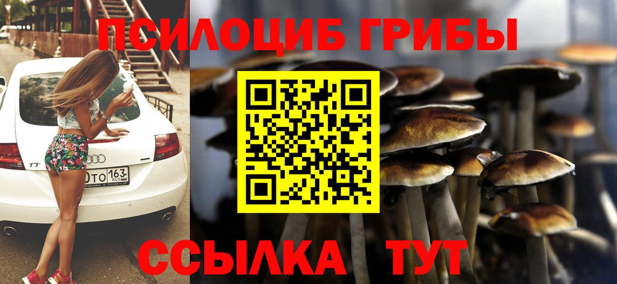 Галлюциногенные грибы мухоморы Губаха