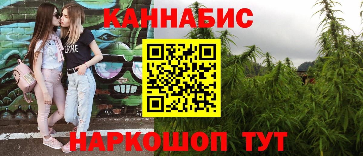 Канабис сатива Губаха